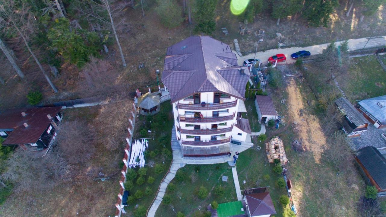 Vila Alunis Busteni Exterior photo